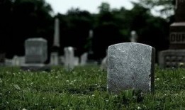 墓地新闻爆料,揭秘背后惊人真相